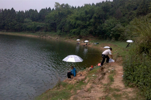 野钓的时候这三种情况不能钓草窝_WWW.YUJUCEPING.COM