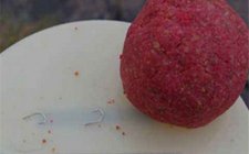 春天钓鱼怎么应对小鱼闹窝