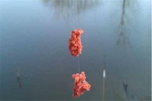 春天钓鱼怎么应对小鱼闹窝_WWW.YUJUCEPING.COM