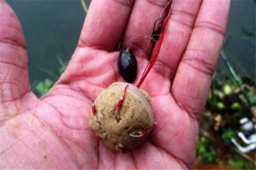 海竿的几种钓法使用_WWW.YUJUCEPING.COM