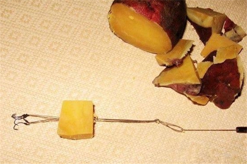 在家就能制作的几种钓鱼小药添加剂_WWW.YUJUCEPING.COM