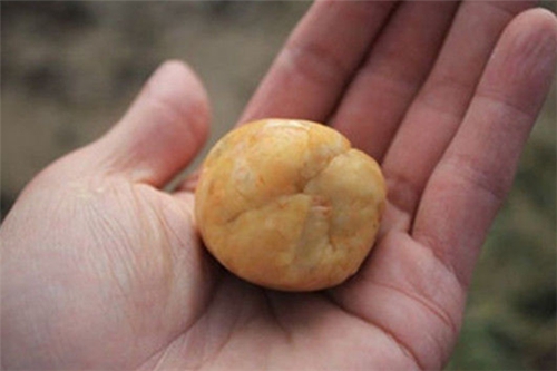 自制荤素搭配的鱼饵配方_WWW.YUJUCEPING.COM