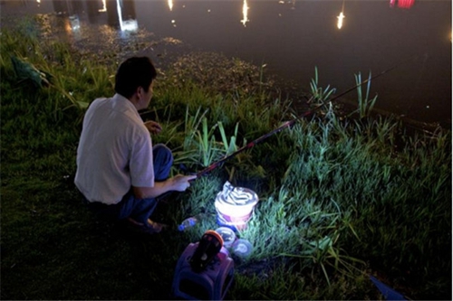 春天野河夜钓鲤鱼技巧_WWW.YUJUCEPING.COM