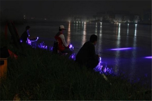 春天野河夜钓鲤鱼技巧_WWW.YUJUCEPING.COM