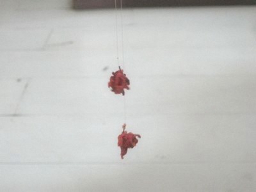 黑坑竿塘钓鲫鱼必杀红虫饵料_WWW.YUJUCEPING.COM