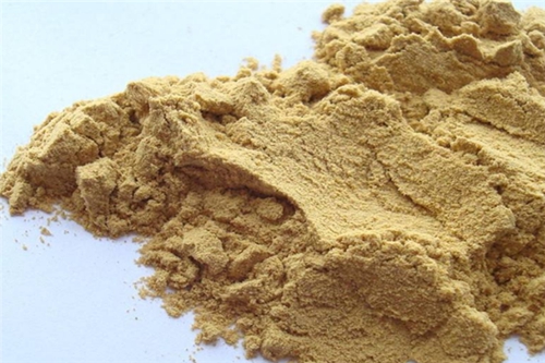 蚯蚓钓鱼饵的实用方法_WWW.YUJUCEPING.COM