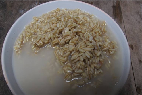 民间钓鲤鱼诱饵窝料_WWW.YUJUCEPING.COM