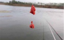 钓鱼常见的一些误区