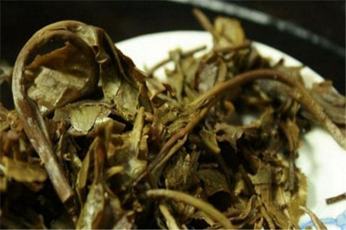 怎么利用蚯蚓钓鱼_WWW.YUJUCEPING.COM