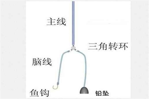 海钓鲈鱼的钓组和钓线方法_WWW.YUJUCEPING.COM