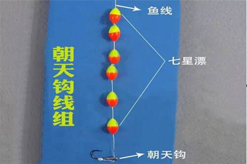 传统钓和台钓的不同点_WWW.YUJUCEPING.COM