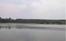 钓鲫鱼怎么应对小杂鱼闹窝