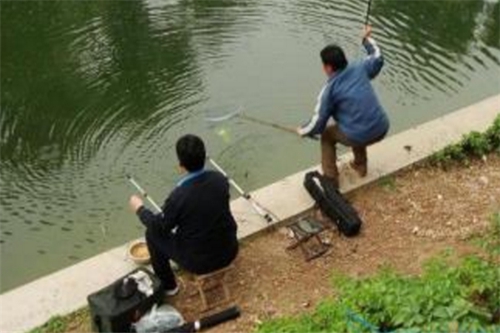 几个实用的野钓小妙招_WWW.YUJUCEPING.COM