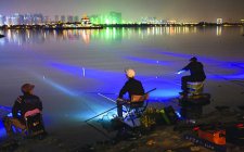 冬天夜里怎么让鱼儿上钩