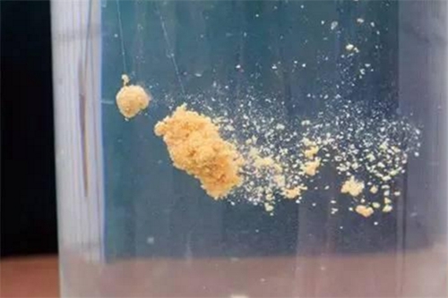 水域钓鲢鳙的五大技巧_WWW.YUJUCEPING.COM