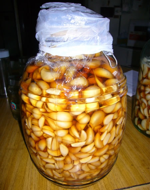 钓鲢鳙的糖蒜鱼饵糖蒜怎么做_WWW.YUJUCEPING.COM