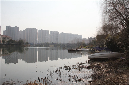 教你怎么轻松钓上鲤鱼_WWW.YUJUCEPING.COM