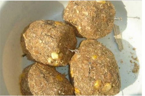 教你自制五种有效鱼饵配方_WWW.YUJUCEPING.COM