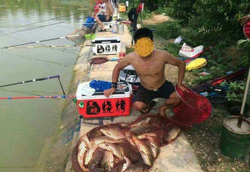 黑坑钓鲫鱼怎么抢鱼_WWW.YUJUCEPING.COM