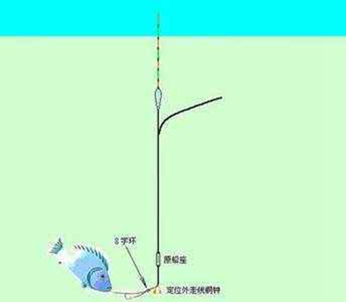 钓鲤鱼线组怎么搭配_WWW.YUJUCEPING.COM