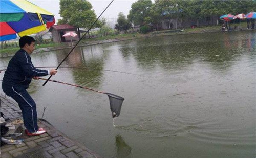 下雨天钓鲤鱼的技巧_WWW.YUJUCEPING.COM