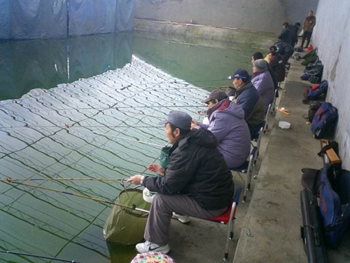 冬天黑坑钓鲫鱼的技巧_WWW.YUJUCEPING.COM