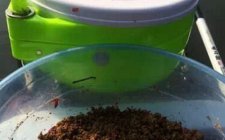 钓友自制诱饵步骤方法