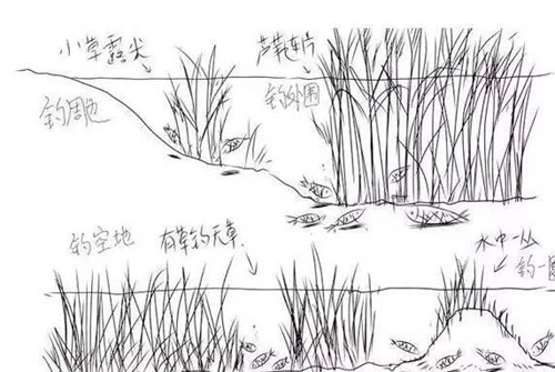 野钓鲫鱼怎么选择钓位_WWW.YUJUCEPING.COM