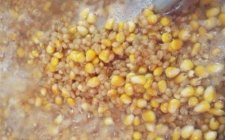 秋天钓鲤鱼的饵料配方