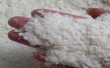 防止小鱼闹钩的方法详解