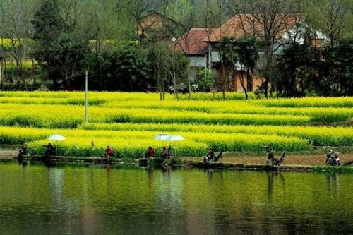 春天钓草鱼技巧_WWW.YUJUCEPING.COM