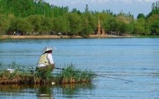 钓浅水 水面有风浪 水底有水流使用什么浮漂