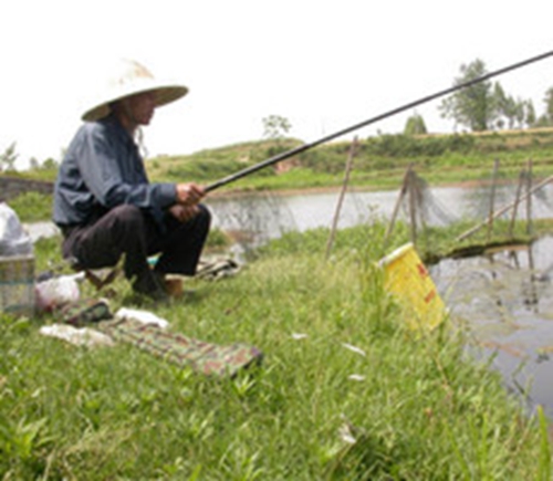 什么叫传统钓_WWW.YUJUCEPING.COM