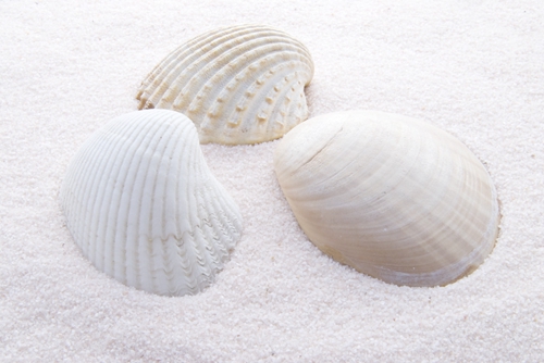 海钓用饵技巧_WWW.YUJUCEPING.COM