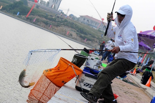 浅谈鲫鱼的生活习性_WWW.YUJUCEPING.COM