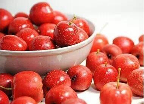 水果饵料的使用方法_WWW.YUJUCEPING.COM