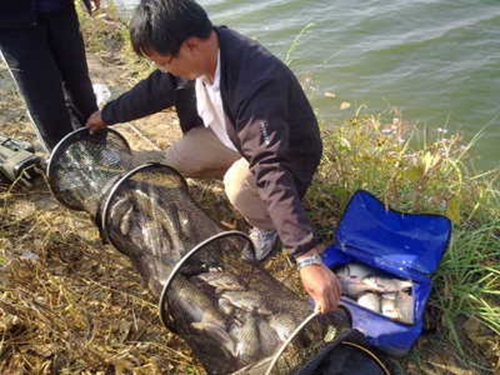 野外钓鱼鱼饵分享_WWW.YUJUCEPING.COM