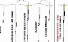 野钓鲫鱼调漂最佳方法和漂尾说明