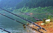 串钩钓底层鱼的技巧