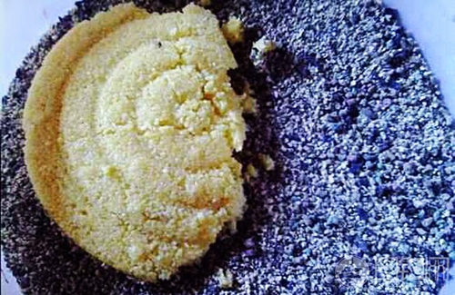 春天野钓鲤鱼的几个实用小技巧_WWW.YUJUCEPING.COM