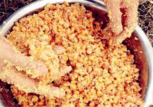 春天野钓鲤鱼饵料怎么搭配_WWW.YUJUCEPING.COM