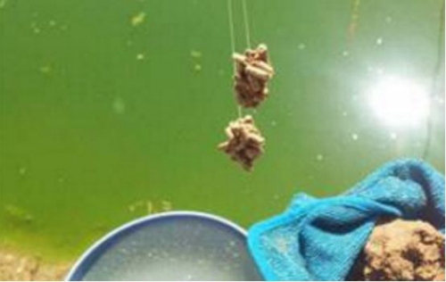 防小鱼闹窝的方法_WWW.YUJUCEPING.COM