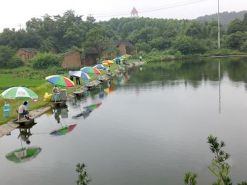 黑坑钓鱼的一些技巧_WWW.YUJUCEPING.COM