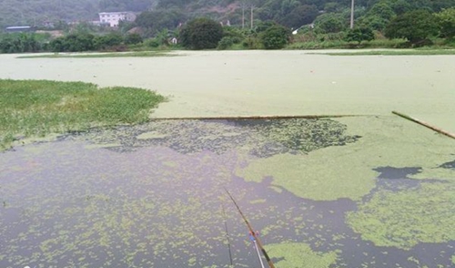 区分肥水和瘦水的办法_WWW.YUJUCEPING.COM