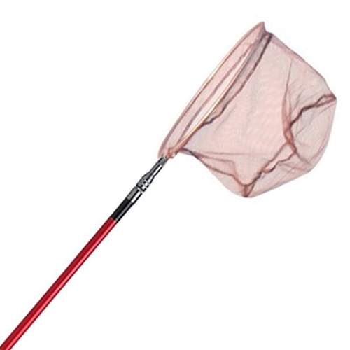 初春肥水塘钓鲫鱼的钓具选择_WWW.YUJUCEPING.COM