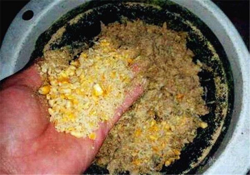 夏天钓鱼鱼饵的选择_WWW.YUJUCEPING.COM