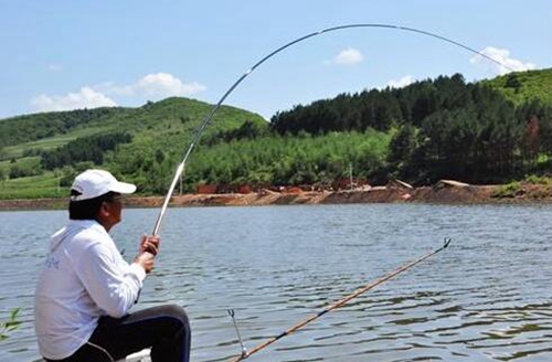 春天钓鲫鱼的天气怎么选择_WWW.YUJUCEPING.COM