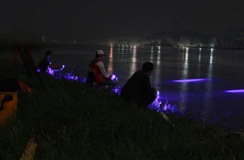 夏天夜钓的小技巧_WWW.YUJUCEPING.COM