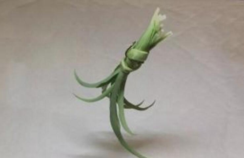 夏天钓草鱼的自然饵怎么用_WWW.YUJUCEPING.COM