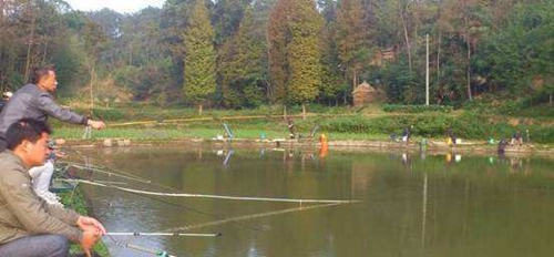 夏天黑坑钓草鱼技巧_WWW.YUJUCEPING.COM